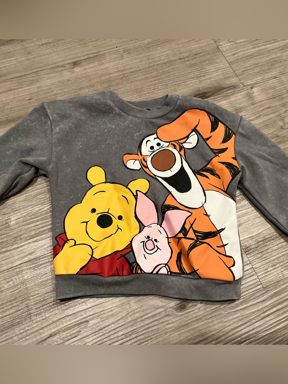 Disney Gray Sweatshirt with Winnie the Pooh, Tigger & Piglet Graphic